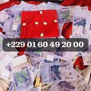 COMMENT PUIS-JE AVOIR LE VRAI PORTEFEUILLE MAGIQUE A DISTANCE ? +229 01 60 49 20 00, un expert en renforcement d'équipe à Carcassonne