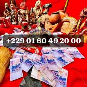 PUIS-JE AVOIR LE VRAI PORTEFEUILLE MAGIQUE AU CAMEROUN +229 01 60 49 20 00, un vendeur d'articles festifs à Fécamp